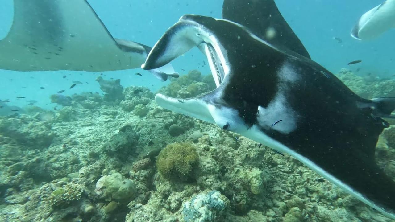 Paguro Beach Inn Ukulhas Island Bagian luar foto